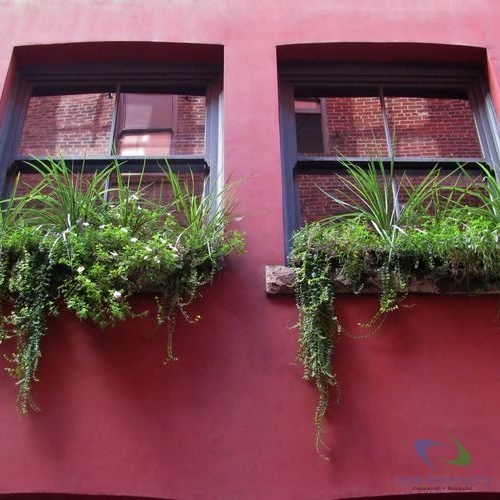Single Hung Windows 1
