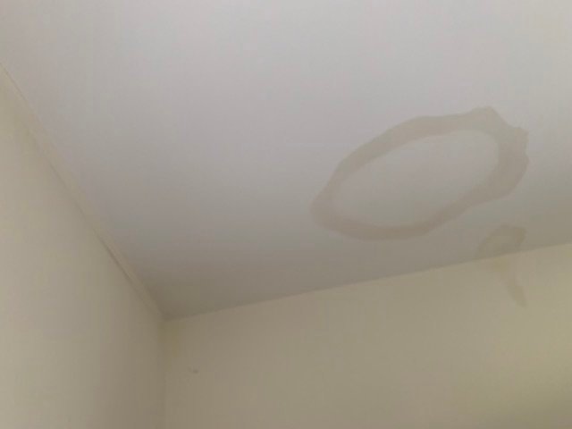 Your Roof Repair Company in 2024 2